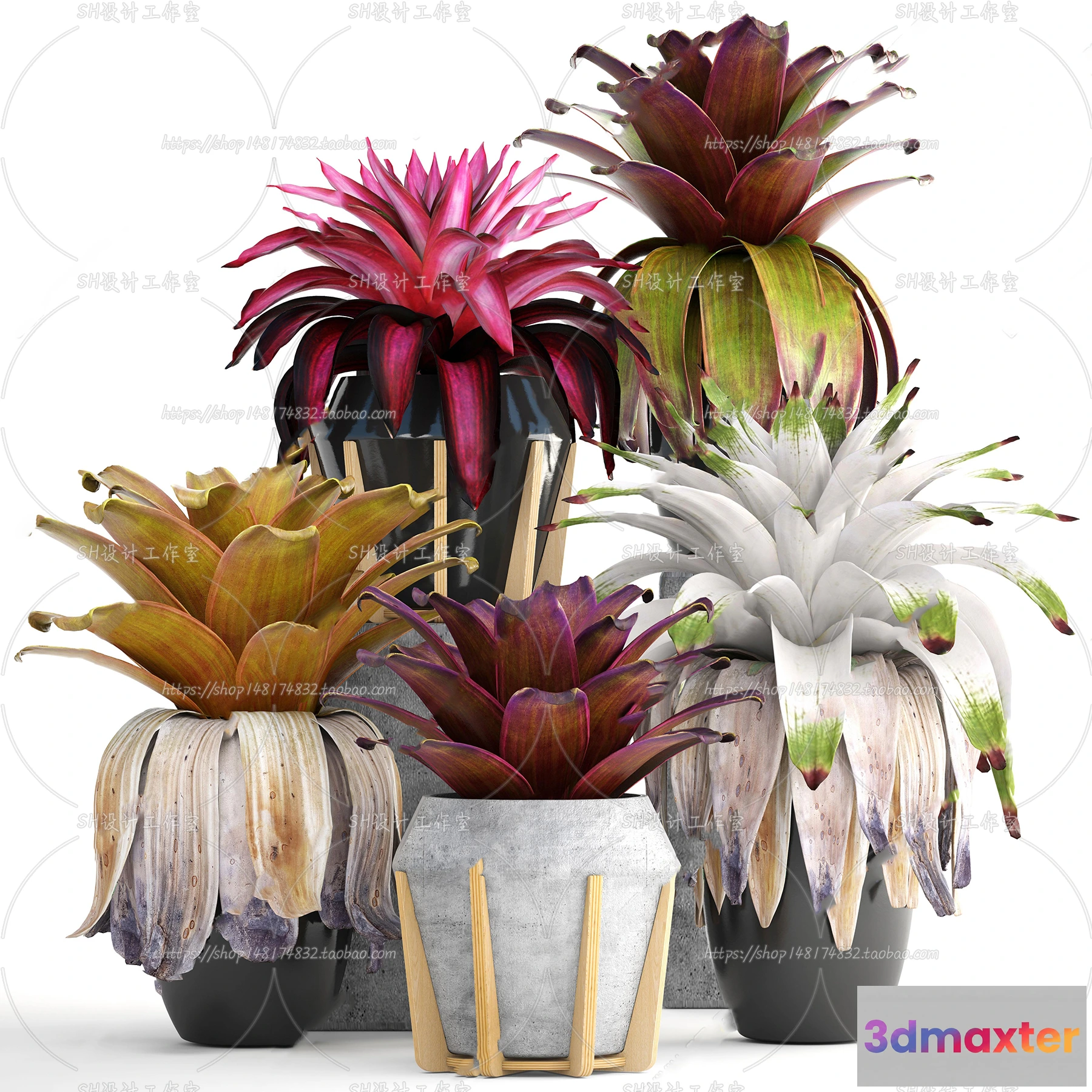 1133928 - Plants and Flowers - 3Ds Models - 0223