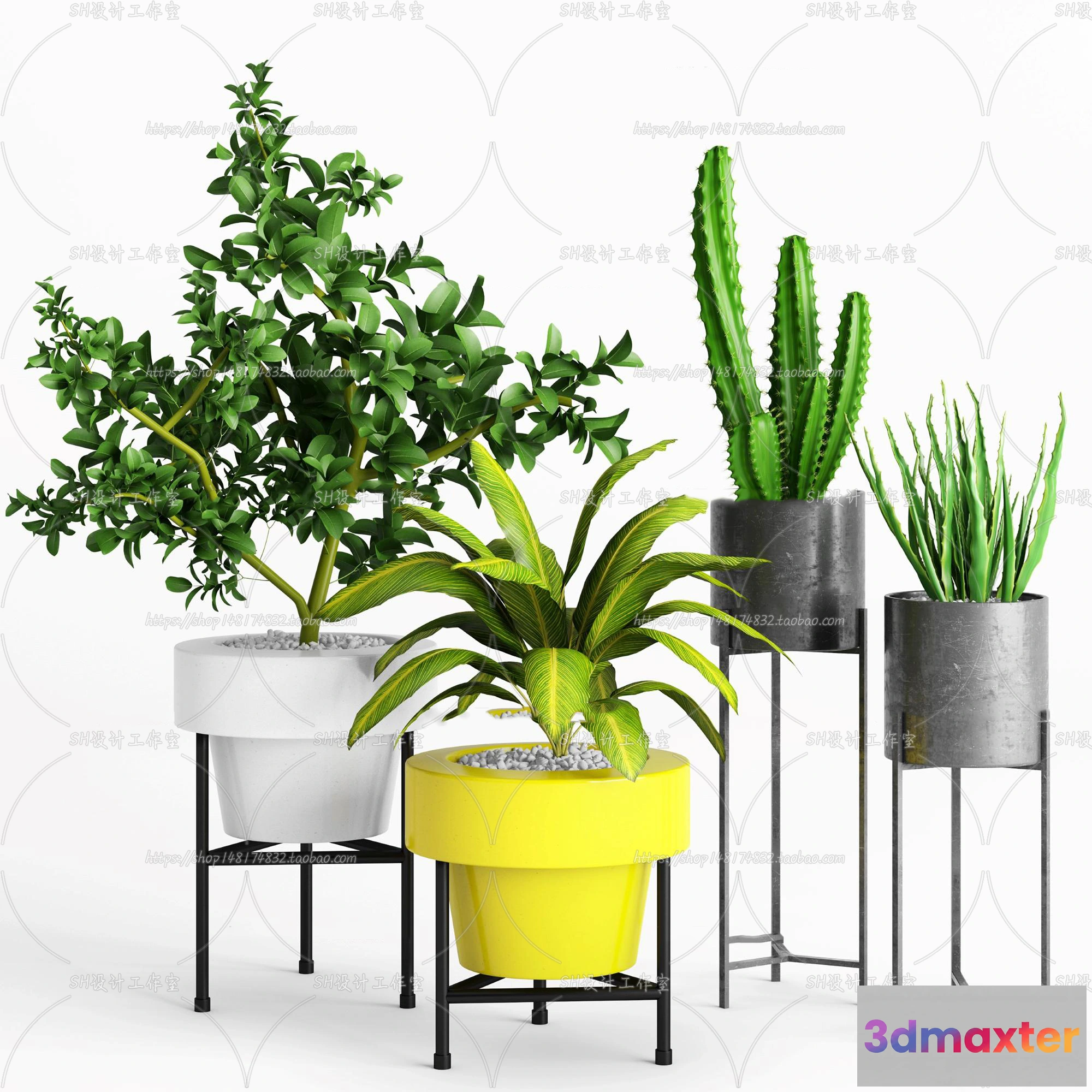 1133930 - Plants and Flowers - 3Ds Models - 0224