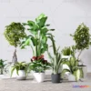 1133936 - Plants and Flowers - 3Ds Models - 0227