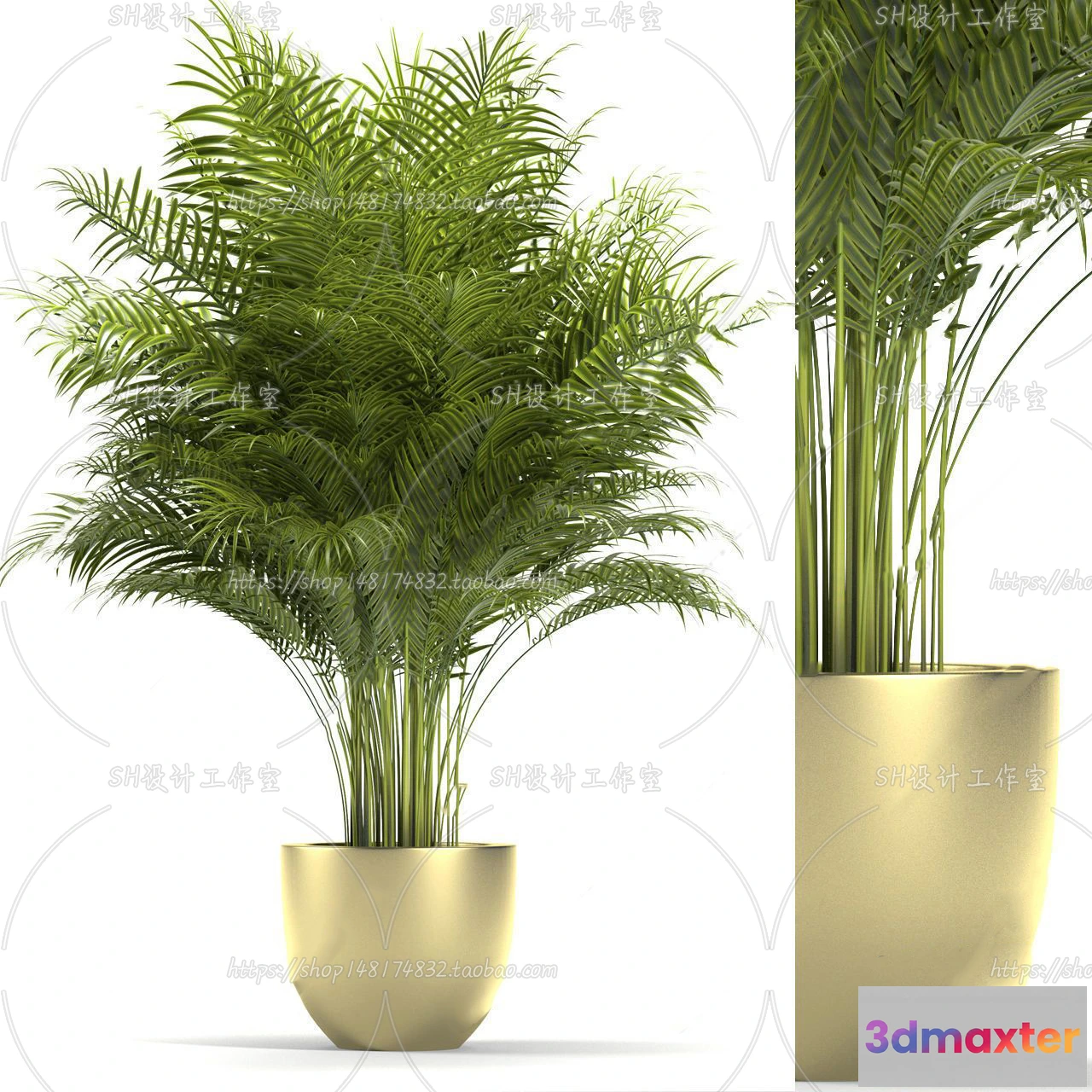 1133958 - Plants and Flowers - 3Ds Models - 0238