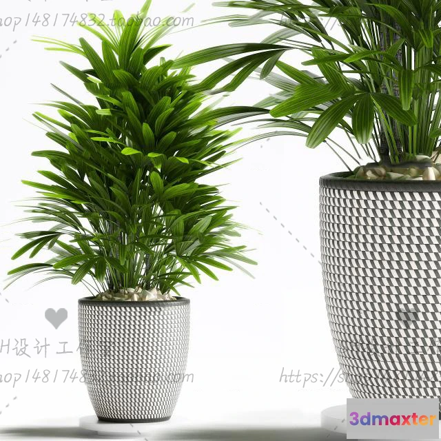 1134006 - Plants and Flowers - 3Ds Models - 0262