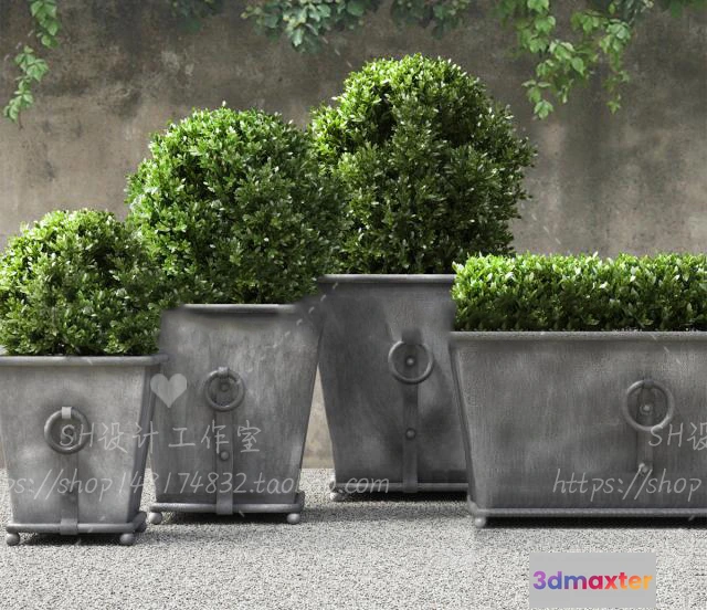 1134012 - Plants and Flowers - 3Ds Models - 0265