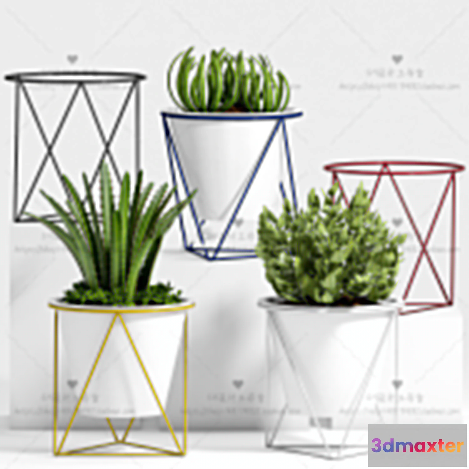 1134032 - Plants and Flowers - 3Ds Models - 0275