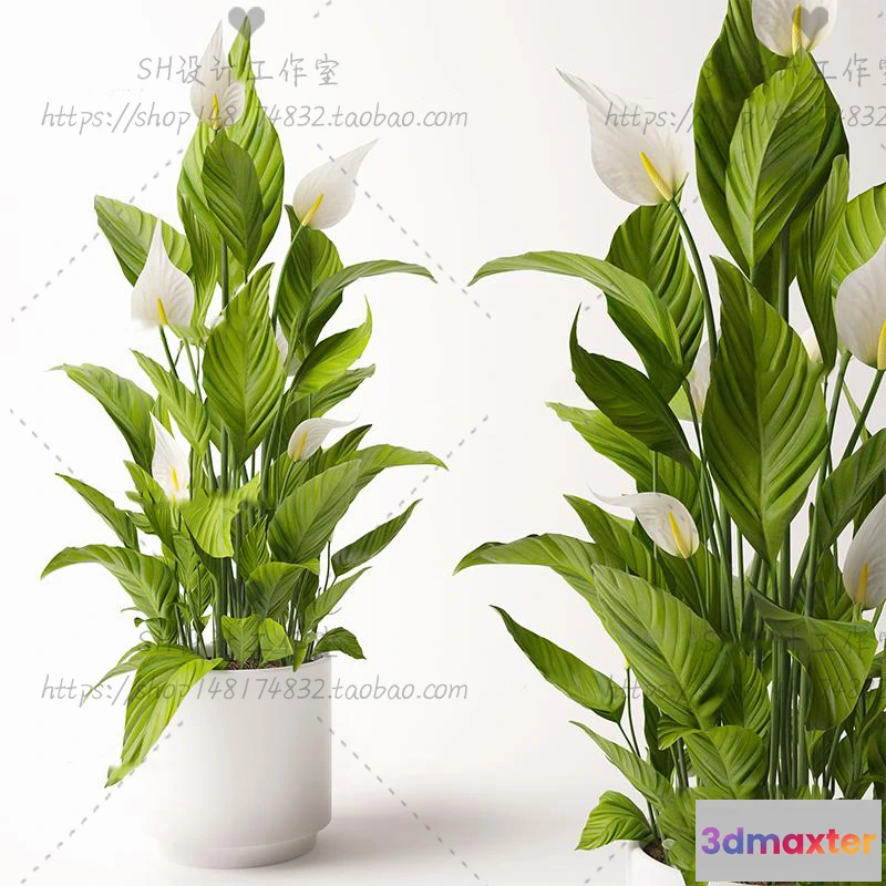 1134034 - Plants and Flowers - 3Ds Models - 0276