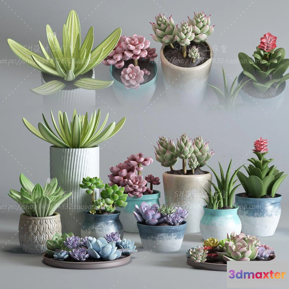 1134066 - Plants and Flowers - 3Ds Models - 0292