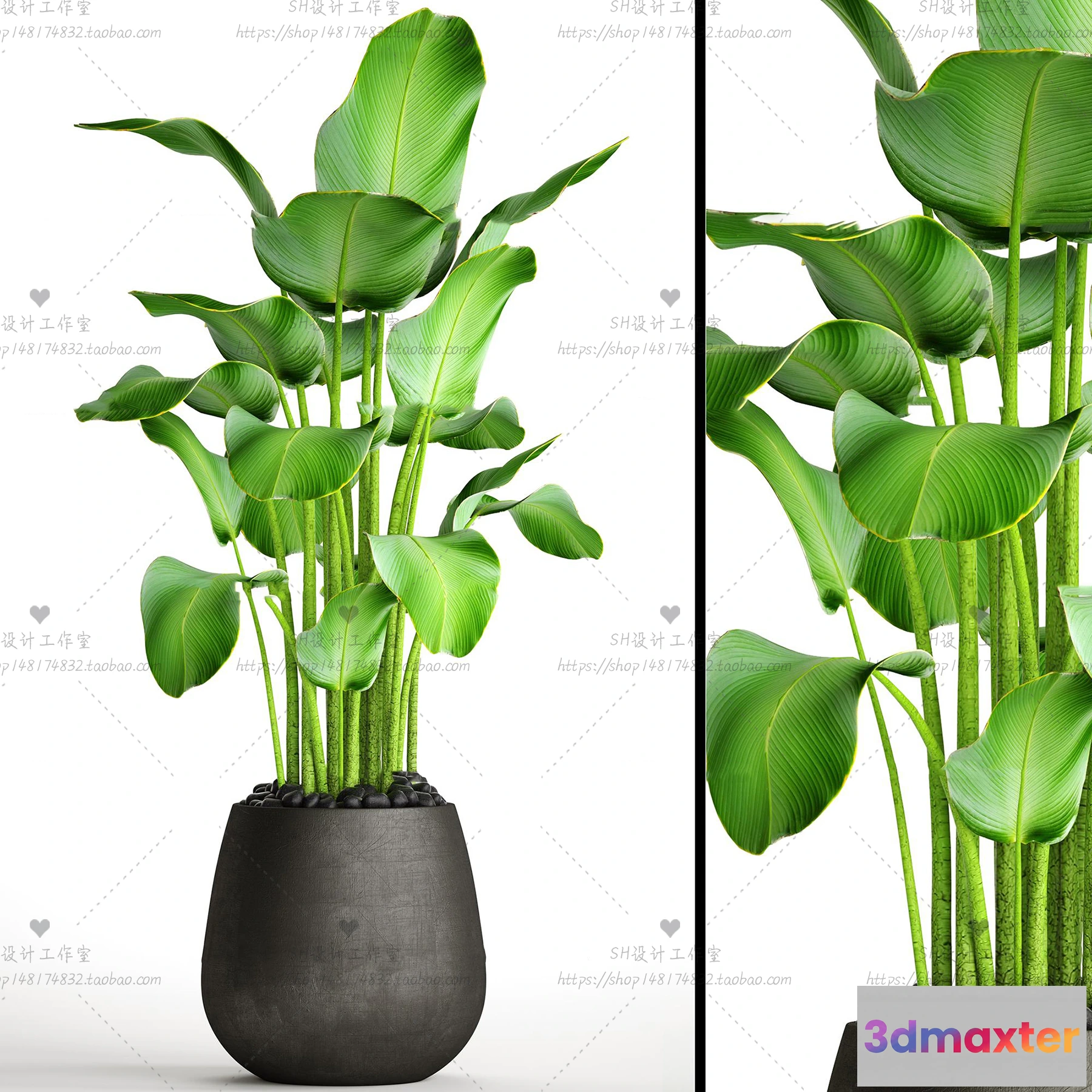 1134076 - Plants and Flowers - 3Ds Models - 0297