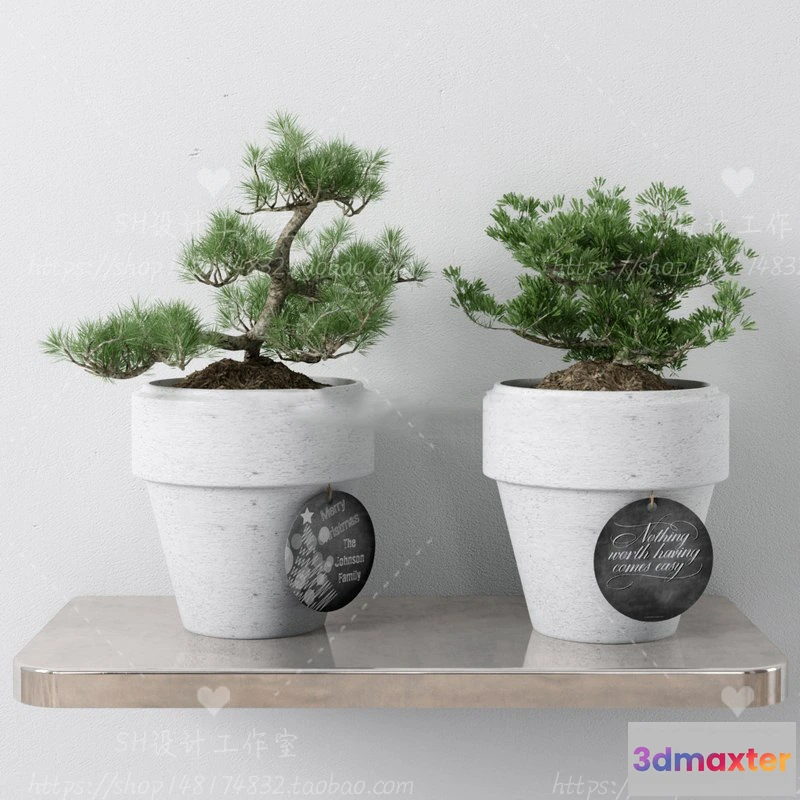 1134078 - Plants and Flowers - 3Ds Models - 0298