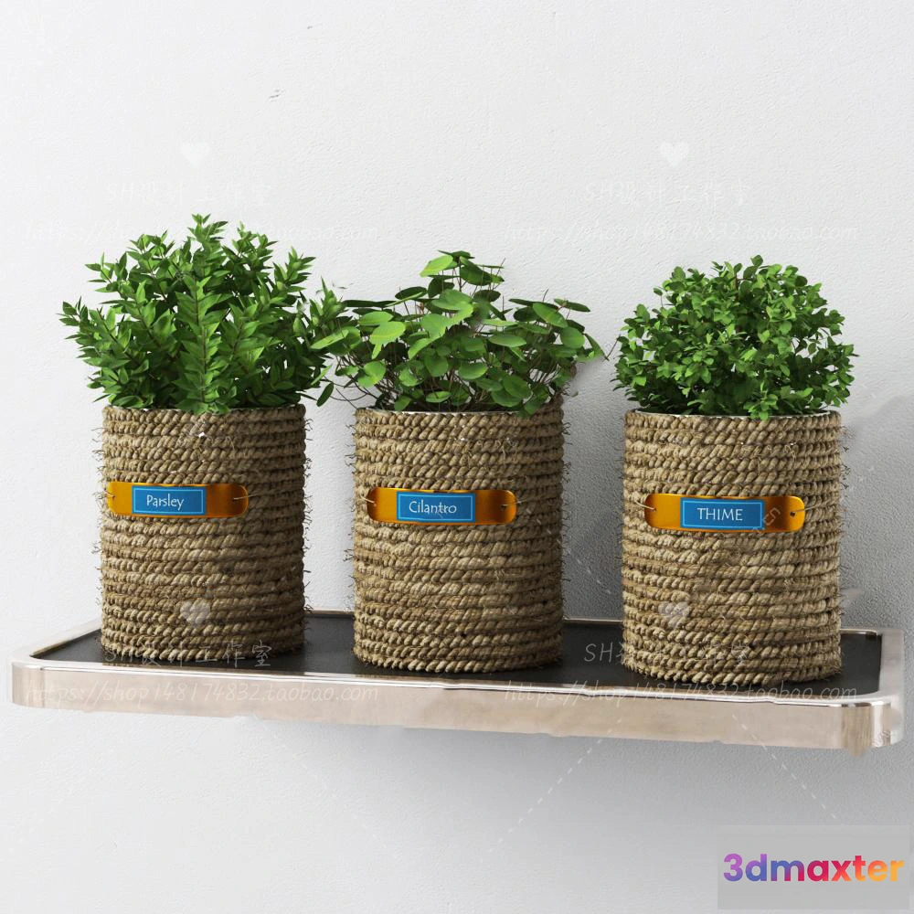 1134082 - Plants and Flowers - 3Ds Models - 0300