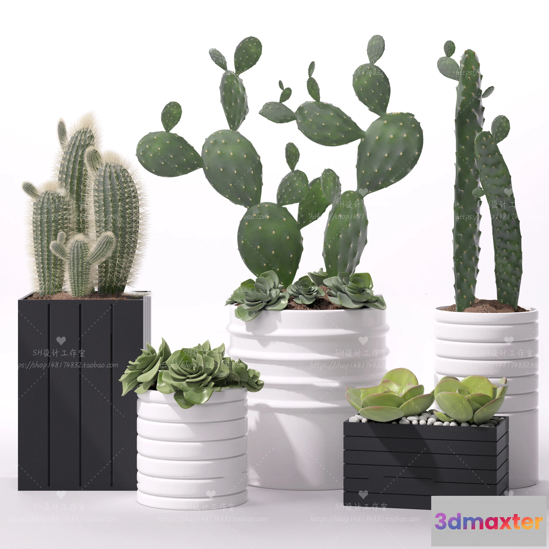 1134090 - Plants and Flowers - 3Ds Models - 0304