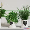 1134092 - Plants and Flowers - 3Ds Models - 0305