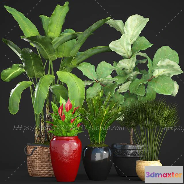 1134108 - Plants and Flowers - 3Ds Models - 0313