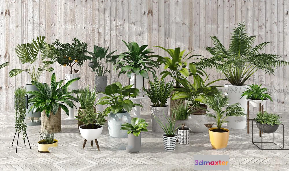 1134124 - Plants and Flowers - 3Ds Models - 0321