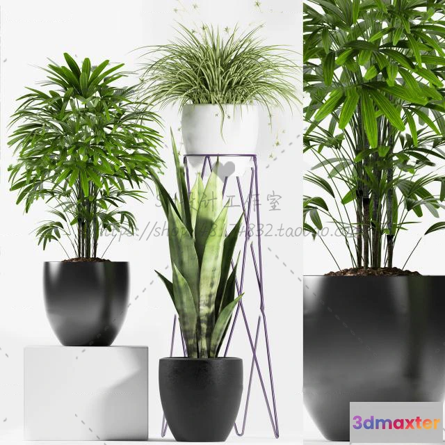 1134130 - Plants and Flowers - 3Ds Models - 0324