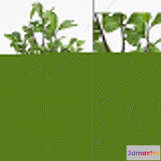 1134144 - Plants and Flowers - 3Ds Models - 0331