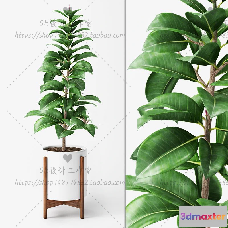 1134146 - Plants and Flowers - 3Ds Models - 0332