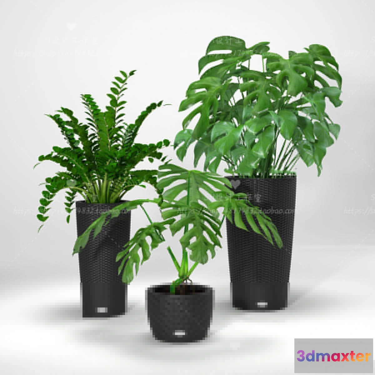 1134148 - Plants and Flowers - 3Ds Models - 0333