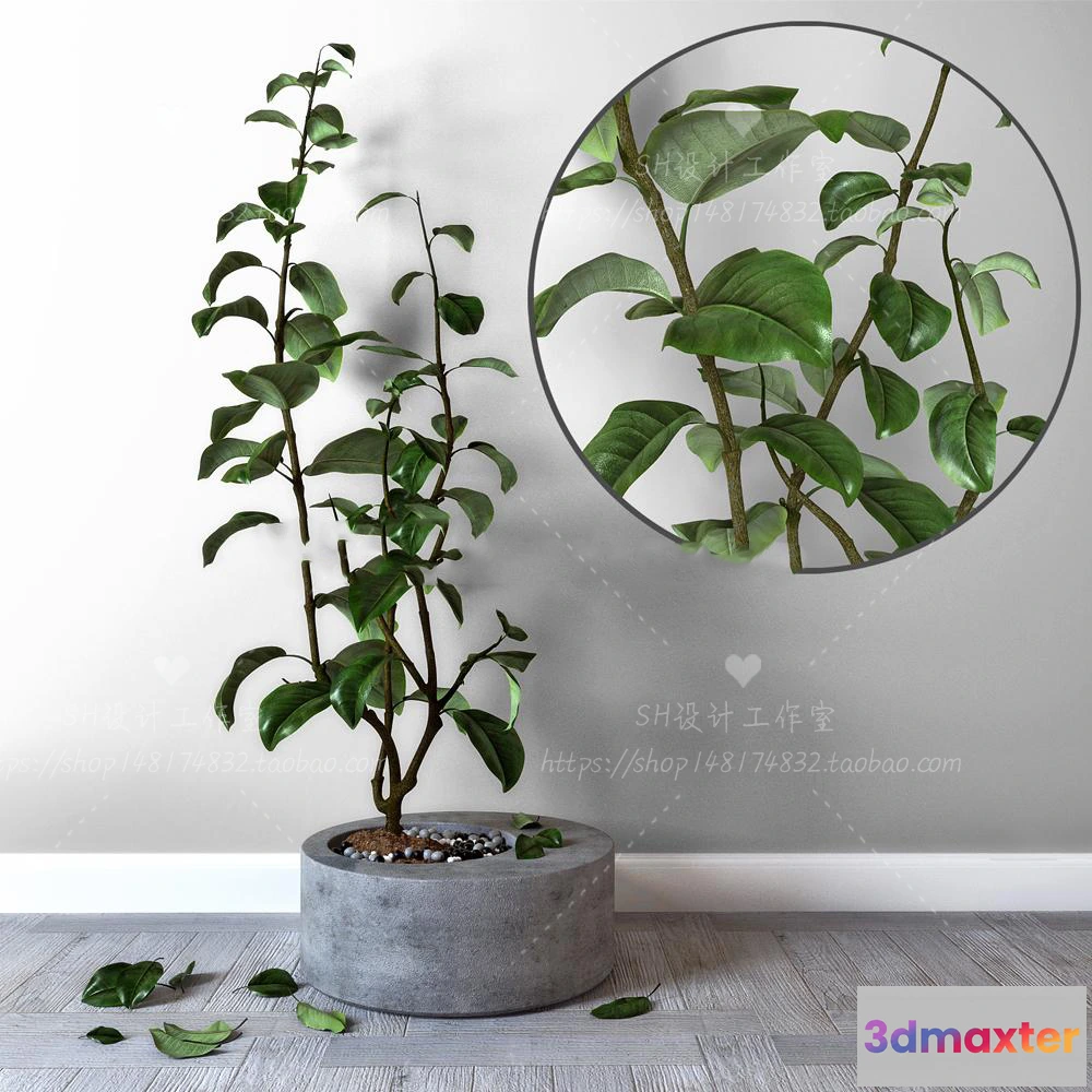 1134152 - Plants and Flowers - 3Ds Models - 0335