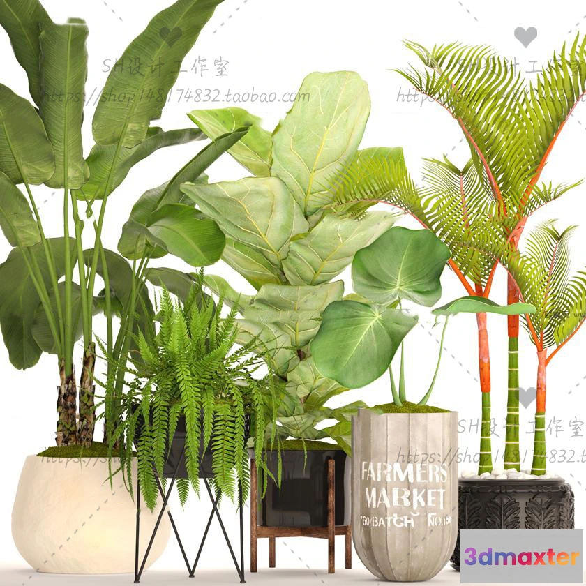 1134164 - Plants and Flowers - 3Ds Models - 0341