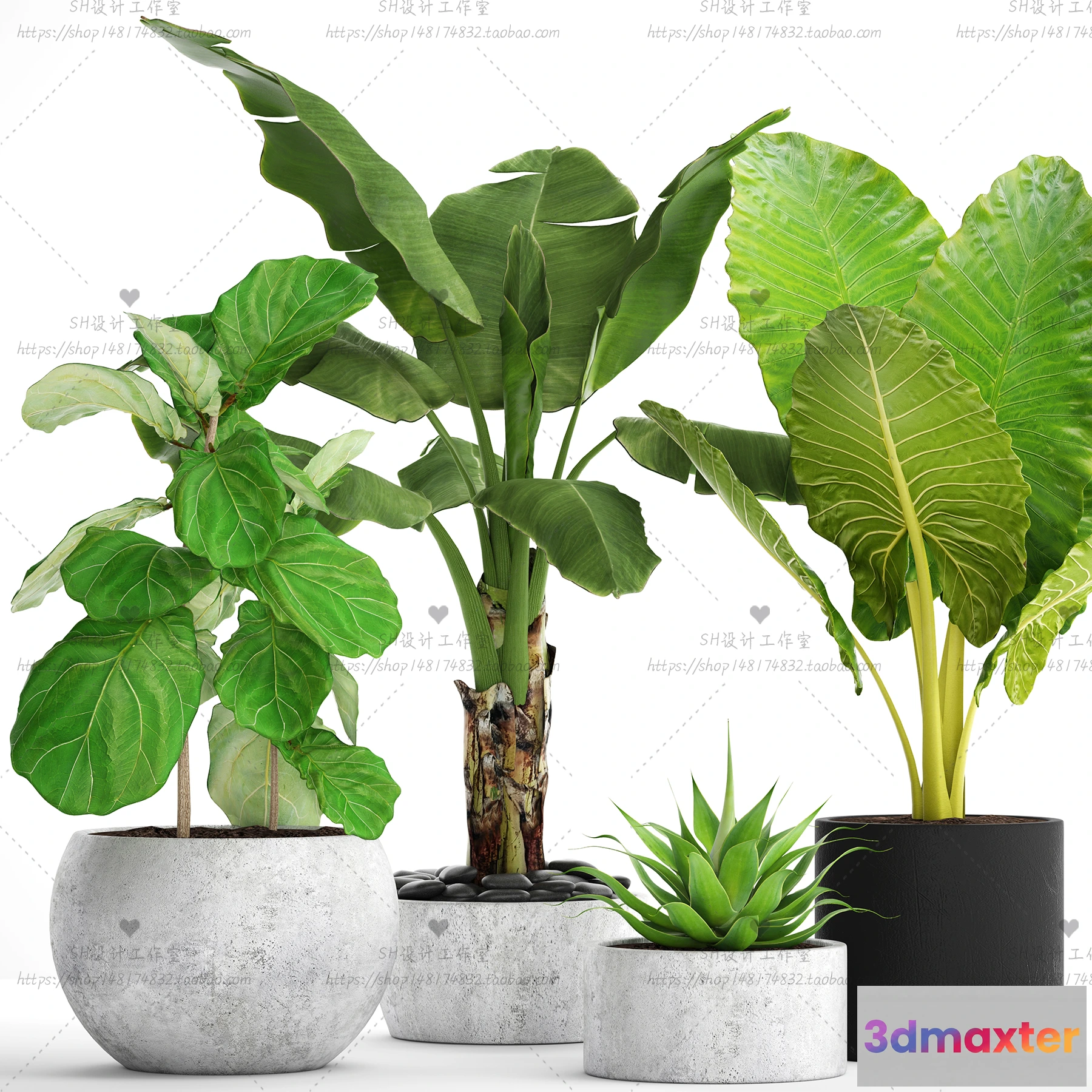 1134168 - Plants and Flowers - 3Ds Models - 0343