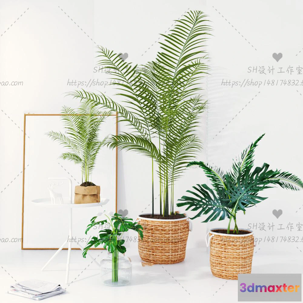 1134176 - Plants and Flowers - 3Ds Models - 0347