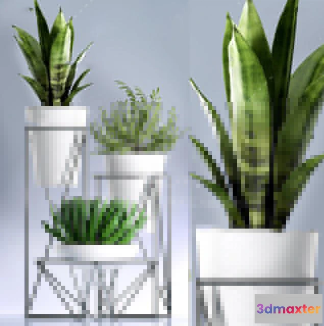 1134182 - Plants and Flowers - 3Ds Models - 0350