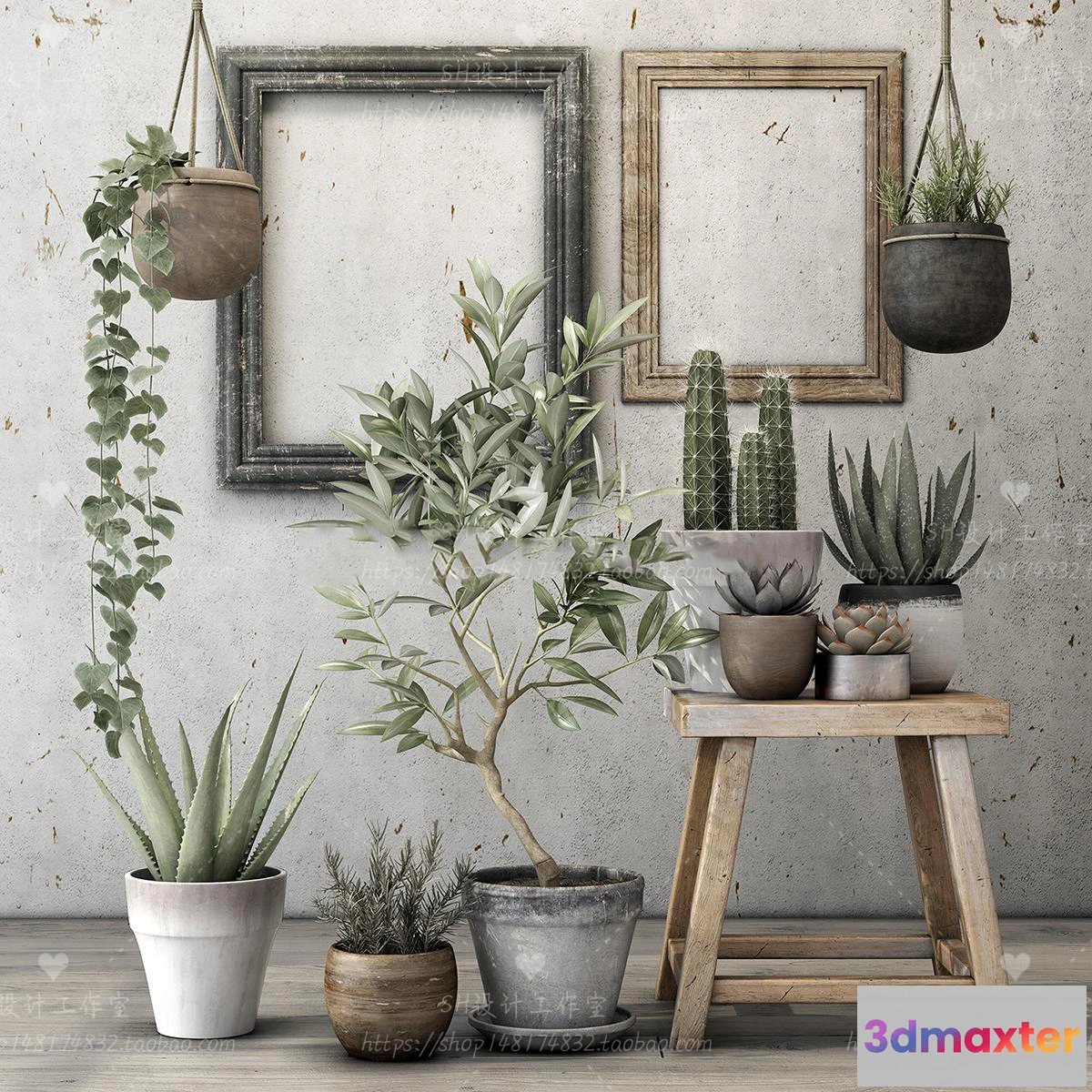 1134184 - Plants and Flowers - 3Ds Models - 0351