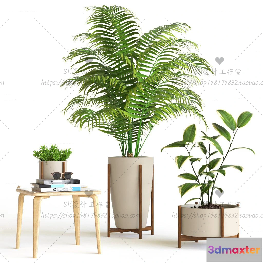 1134194 - Plants and Flowers - 3Ds Models - 0356