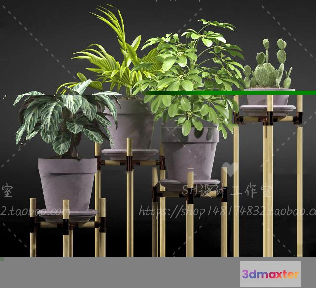 1134204 - Plants and Flowers - 3Ds Models - 0361