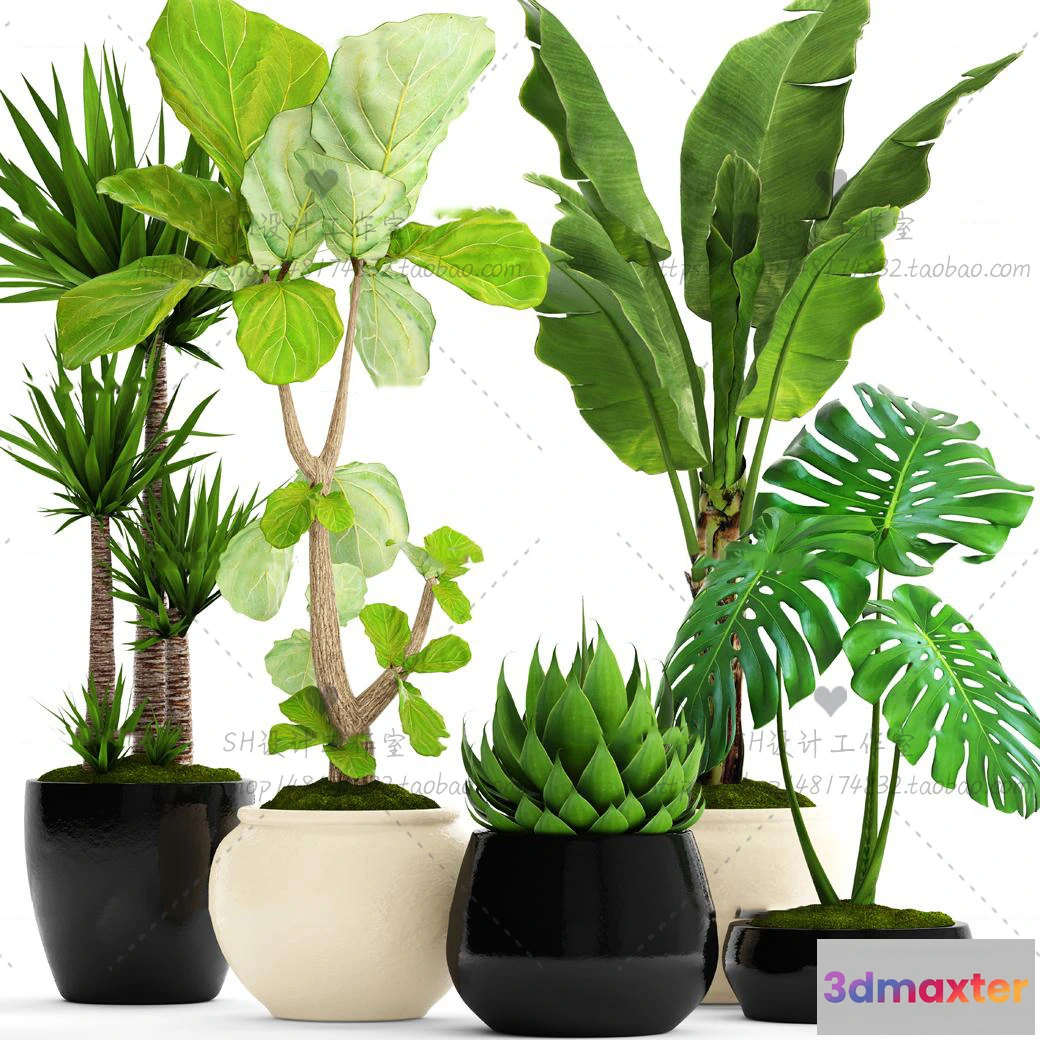 1134210 - Plants and Flowers - 3Ds Models - 0364