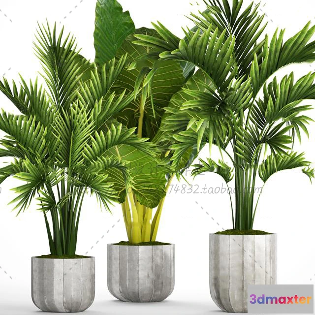 1134212 - Plants and Flowers - 3Ds Models - 0365