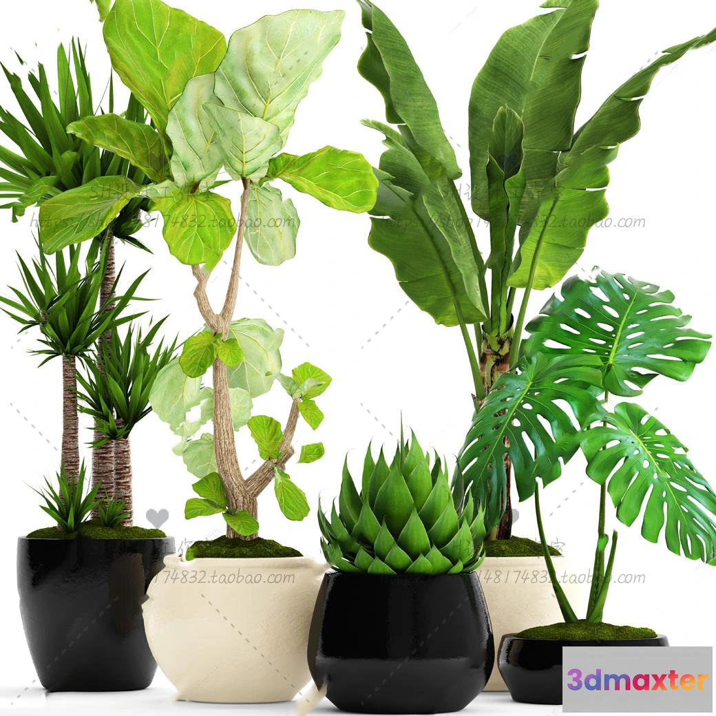 1134226 - Plants and Flowers - 3Ds Models - 0372