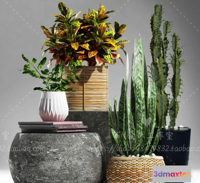 1134234 - Plants and Flowers - 3Ds Models - 0376