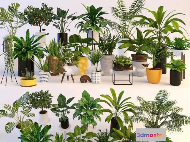 1134236 - Plants and Flowers - 3Ds Models - 0377