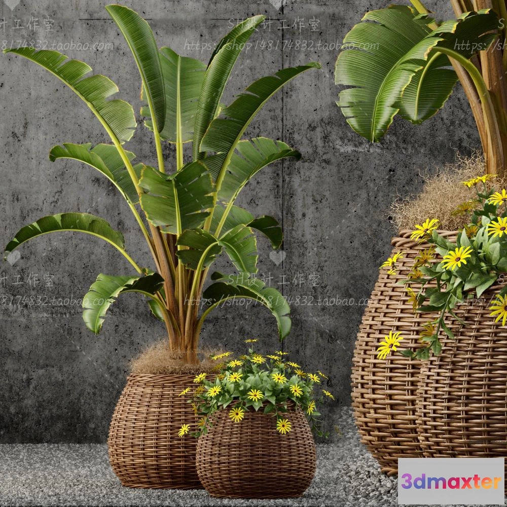 1134244 - Plants and Flowers - 3Ds Models - 0381