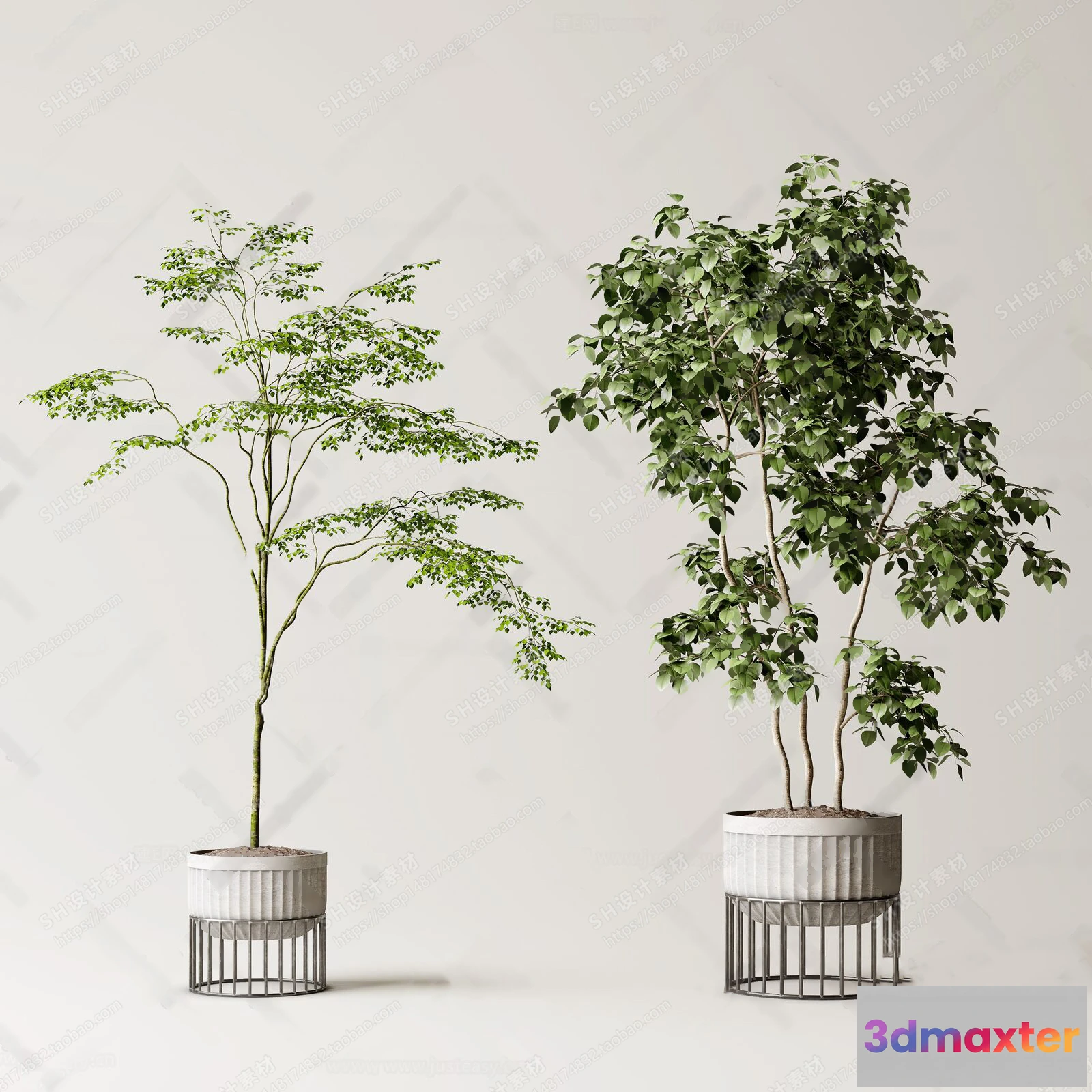 1134278 - Plants and Flowers - 3Ds Models - 0398