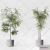 1134288 - Plants and Flowers - 3Ds Models - 0403