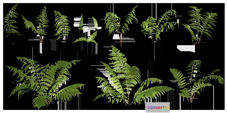 1205458 - PLANT - 3D MODELS - DOWNLOAD - 002