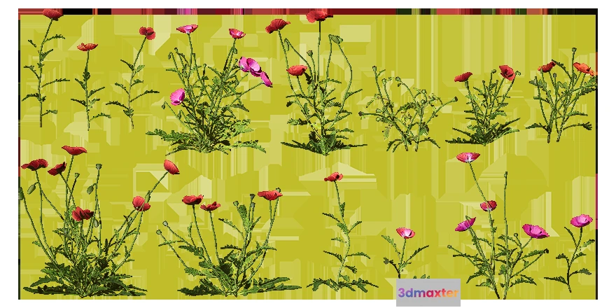 1205462 - PLANT - 3D MODELS - DOWNLOAD - 004