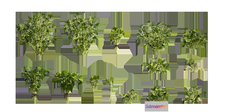1205466 - PLANT - 3D MODELS - DOWNLOAD - 006