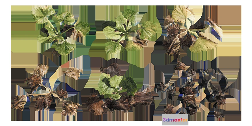 1205470 - PLANT - 3D MODELS - DOWNLOAD - 008