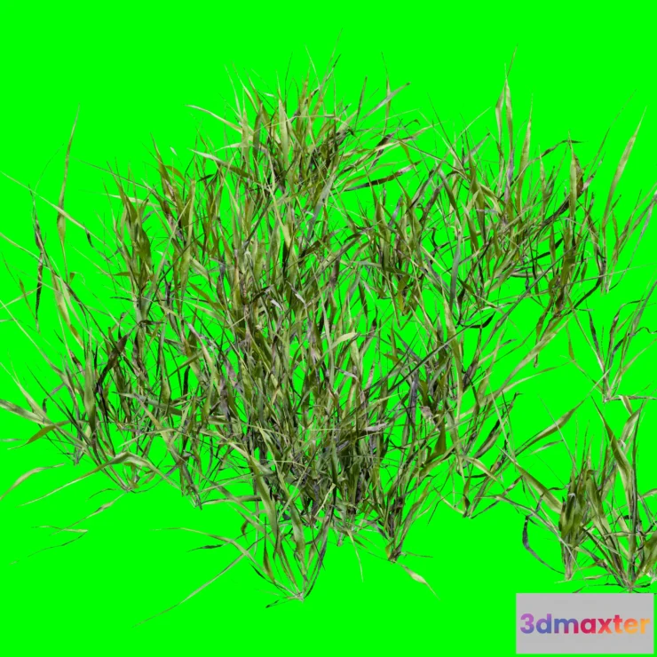 1205482 - PLANT - 3D MODELS - DOWNLOAD - 014