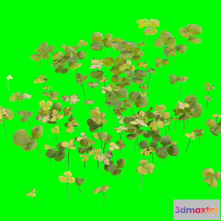 1205484 - PLANT - 3D MODELS - DOWNLOAD - 015