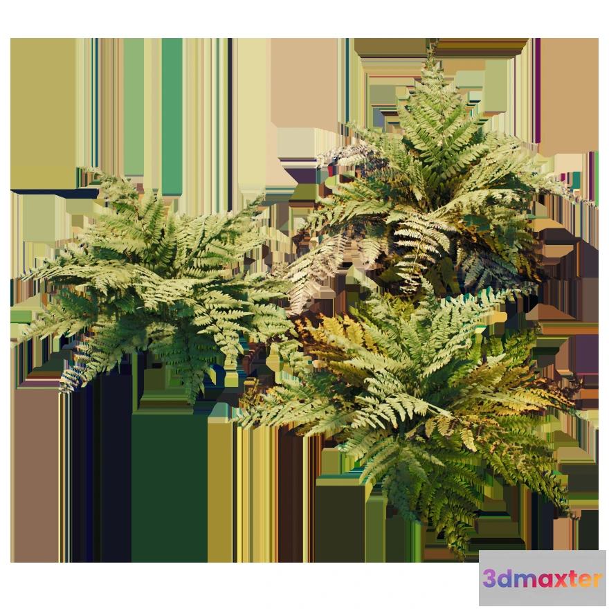 1205488 - PLANT - 3D MODELS - DOWNLOAD - 017