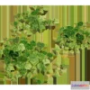 1205490 - PLANT - 3D MODELS - DOWNLOAD - 018