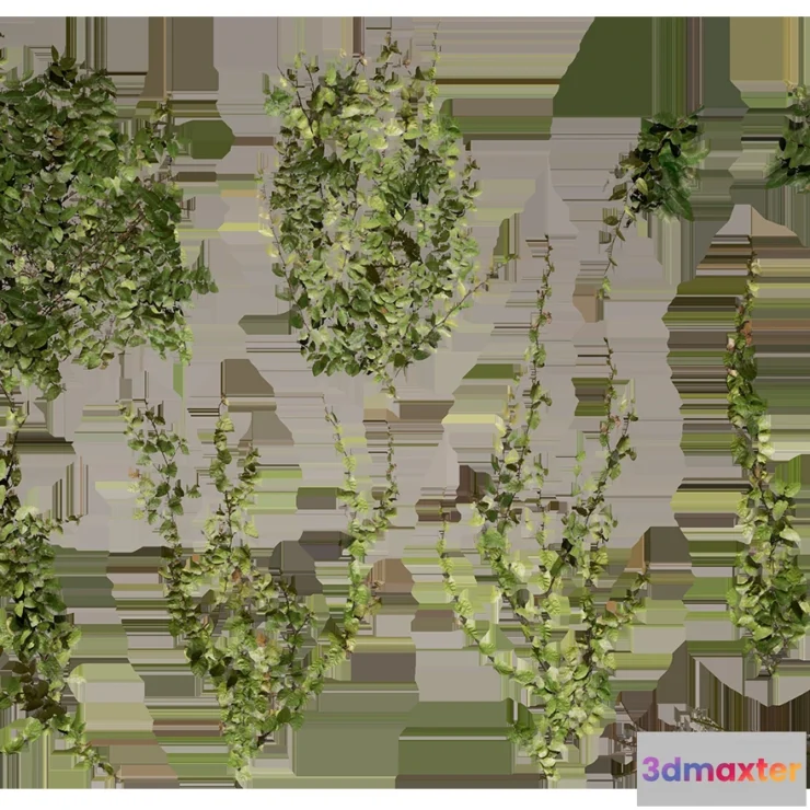 1205494 - PLANT - 3D MODELS - DOWNLOAD - 020