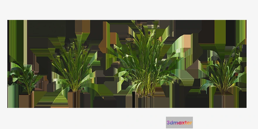 1205500 - PLANT - 3D MODELS - DOWNLOAD - 023