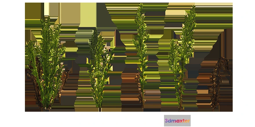 1205502 - PLANT - 3D MODELS - DOWNLOAD - 024