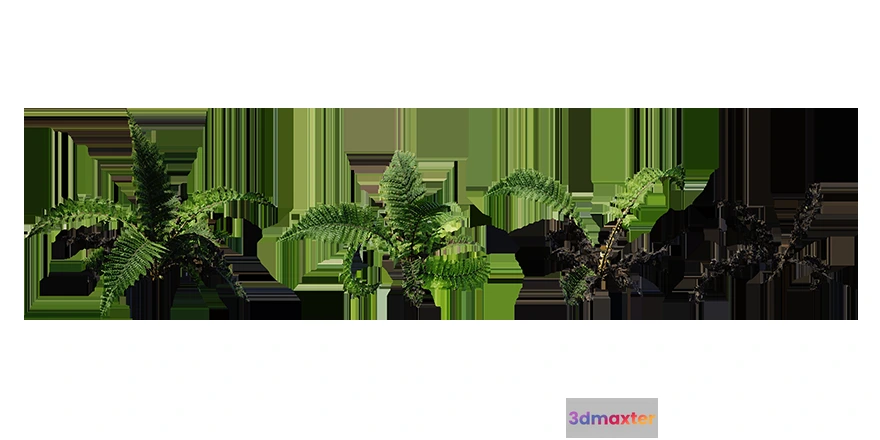 1205506 - PLANT - 3D MODELS - DOWNLOAD - 026