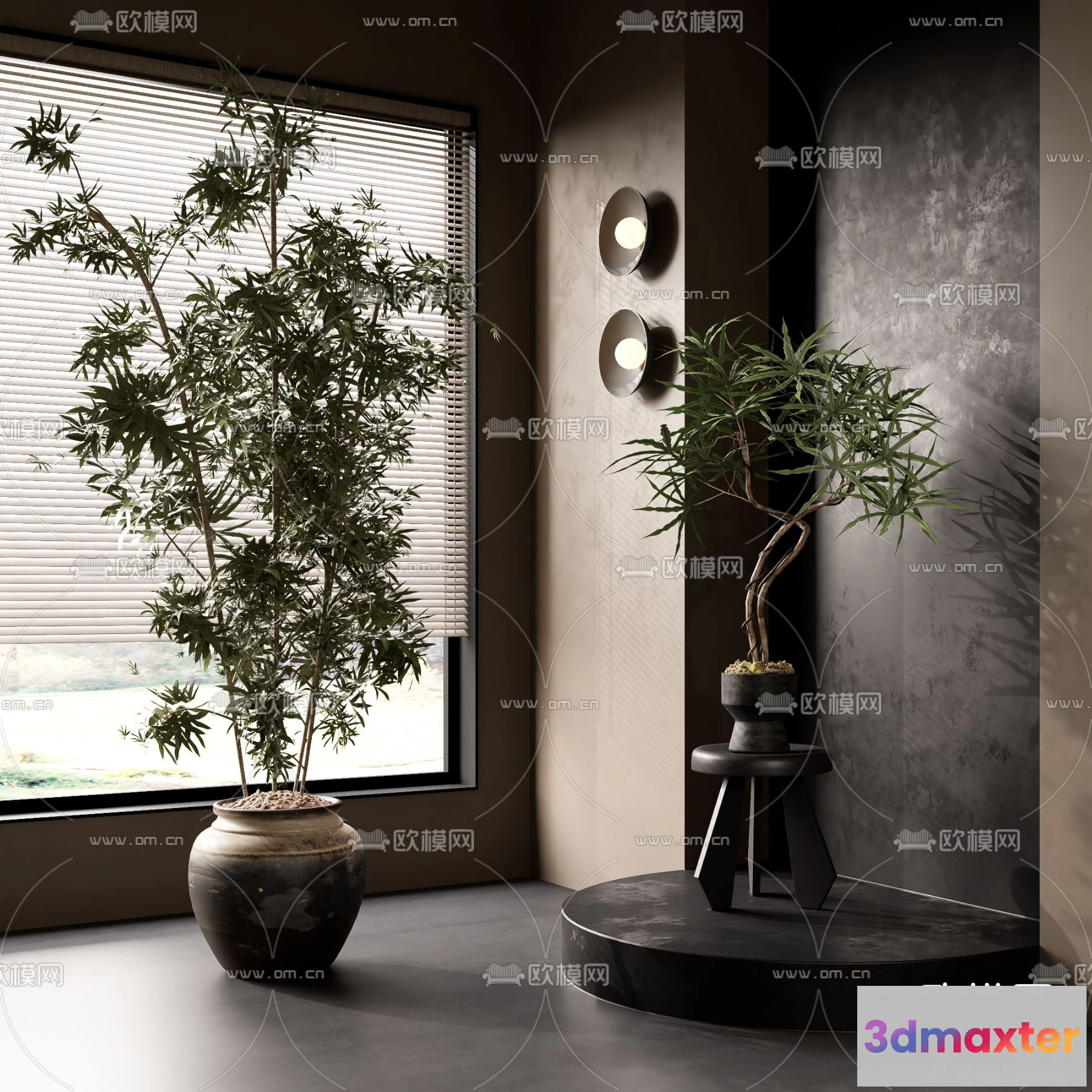 1238586 - Plant - VRAY  CORONA - 3D MODEL - 417