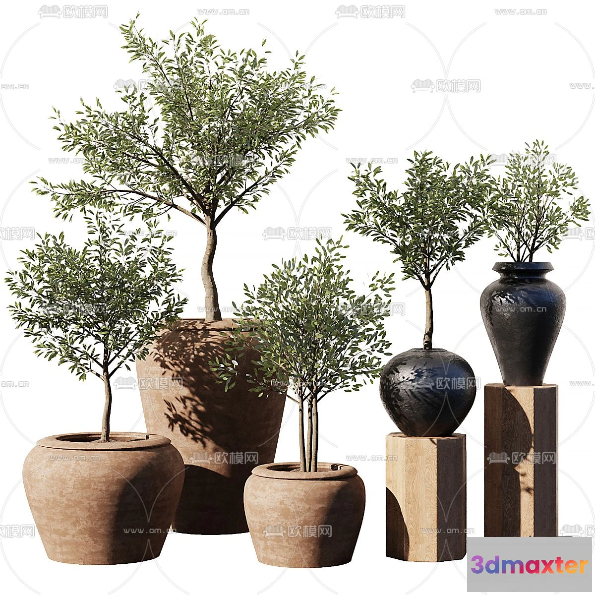 1238590 - Plant - VRAY  CORONA - 3D MODEL - 419